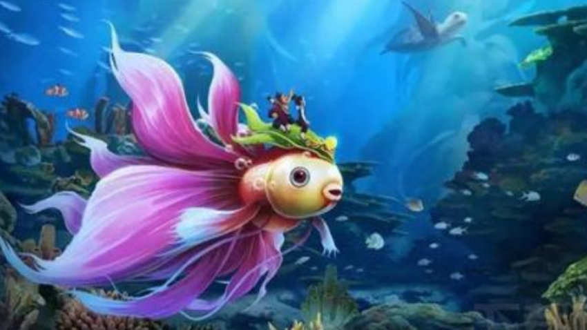 大话一转后应该干什么-一转之后别停下脚步，探索新乐子、新目标，提升自己再创辉煌