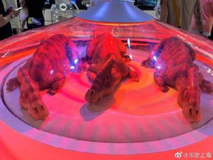 郑州侏罗纪公园_郑州侏罗纪动漫城_郑州侏罗纪恐龙公园具体地址