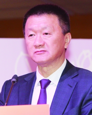 口袋妖怪升级技能没有了怎么办_口袋妖怪升级招式_口袋妖怪升级没有技能