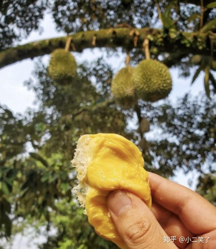 网游天谴修罗_网游之天谴修罗和修罗传说_网游之天谴修罗,
