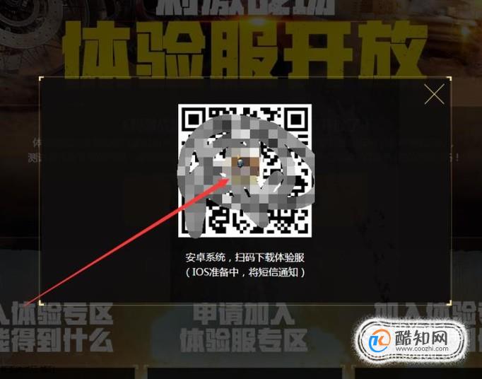 老虎机上分退币视频，心跳加速的刺激体验