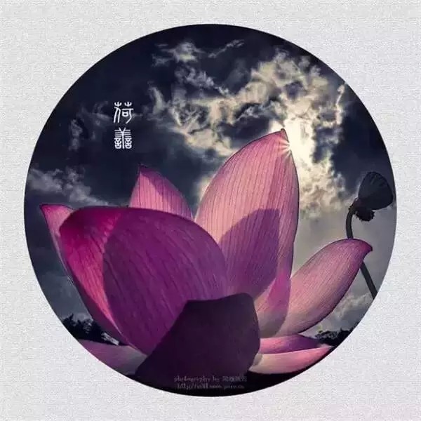忘记来时的路是什么歌_忘记了来时的路_不要忘记来时的路
