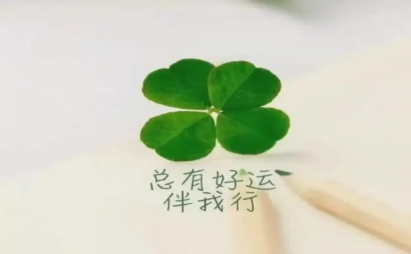 天财商龙软件_商龙科技有限公司_商龙软件
