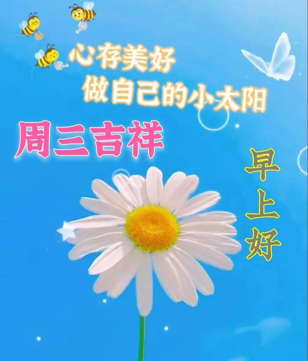 北京传智播客_传智播客北京校区哪个好_传智播客北京地址