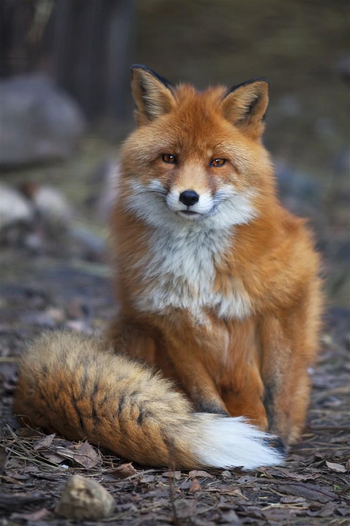 查询一卡通怎么查询_光宇一卡通 查询_一卡通明细查询