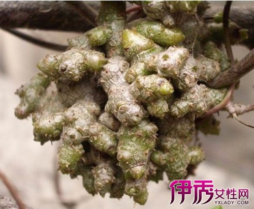军中肤王有副作用吗_军中肤王的副作用_军用肤王说明书