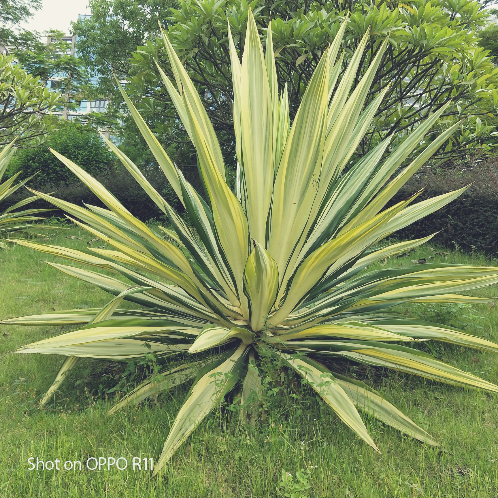 帅哥动画图片大全集_帅哥动画图片头像霸气_动画帅哥图片