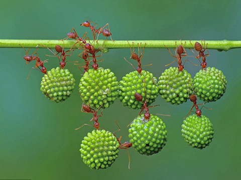 俄语catti_俄语CATTI考试时间_俄语CATTI是什么