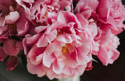 圆桌武士乱步教学_圆桌武士道具作用_圆桌武士出招技巧