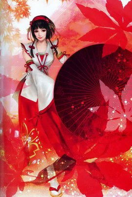 ps2战国无双人物_战国无双人物关系图_战国无双人物图鉴