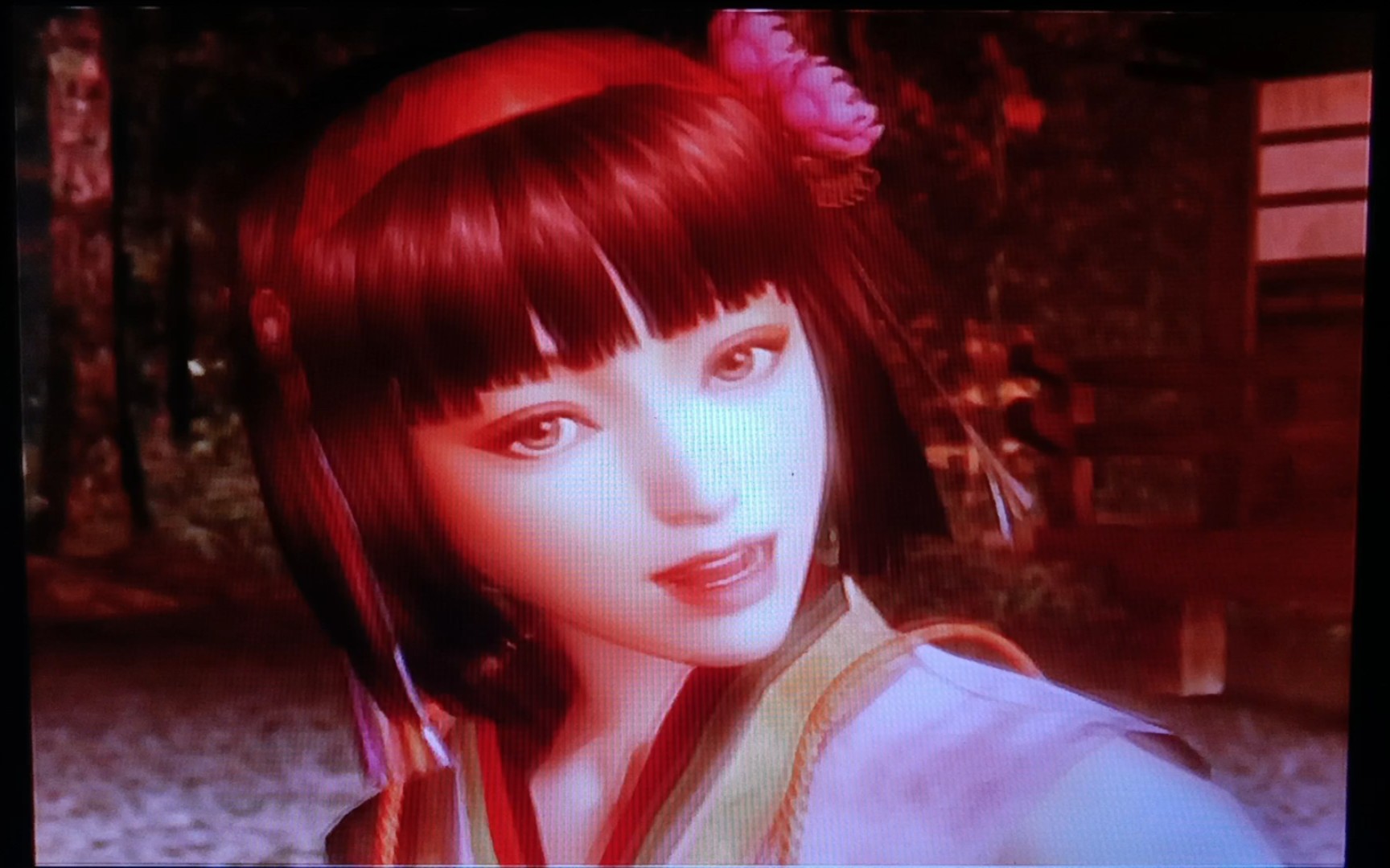 ps2战国无双人物_战国无双人物图鉴_战国无双人物关系图