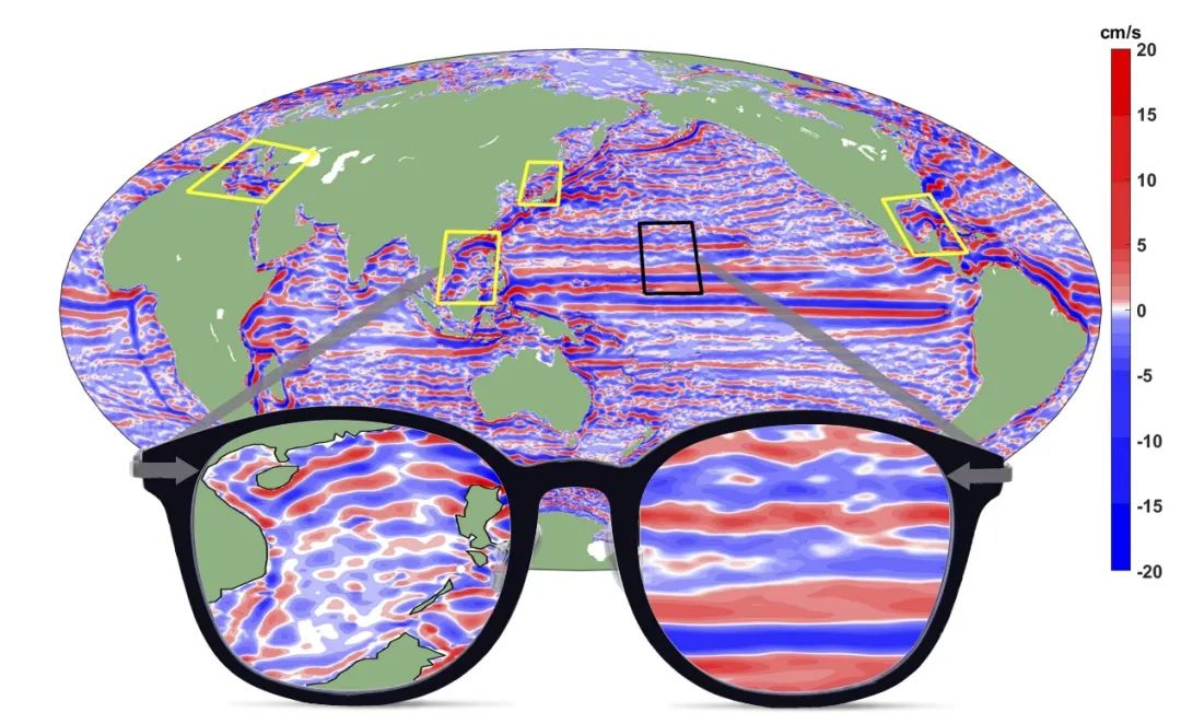 斑马一脚踢死狮子_斑马踢碎狮子下颚_斑马踢死狮子视频