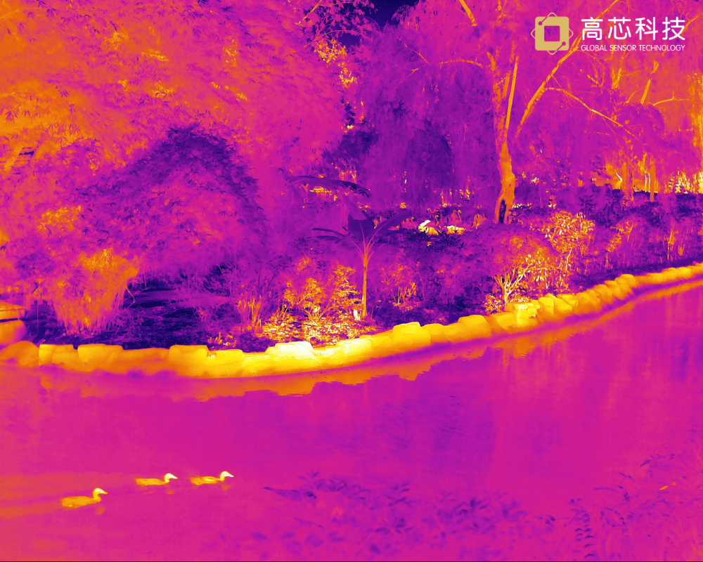 斑马踢死狮子视频_斑马踢碎狮子下颚_斑马一脚踢死狮子