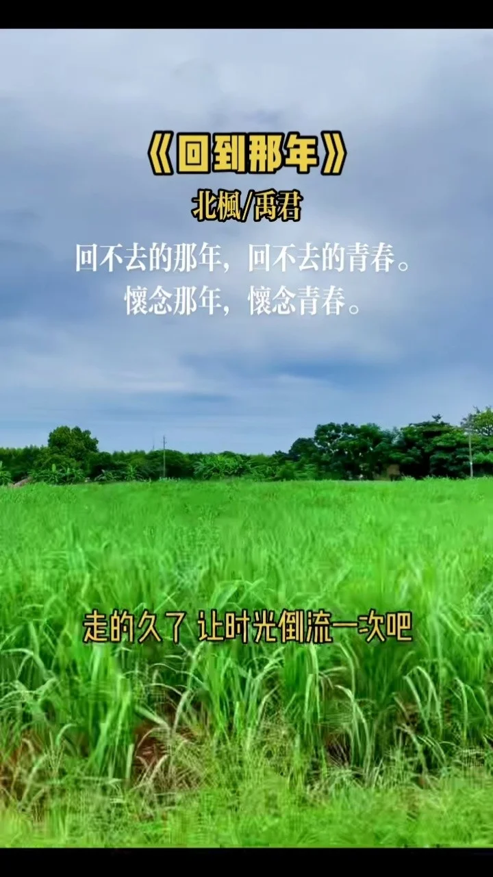 秋千儿时的记忆_回忆荡秋千的心情说说_回忆打秋千的词