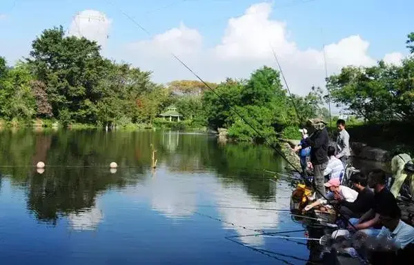 昆明周边水库钓鱼好去处_昆明周边水库野钓最佳地方_昆明周边水库野钓