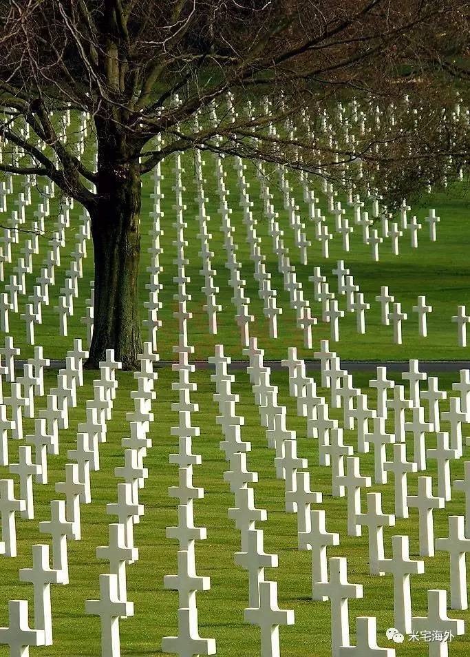 二战库尔斯克图片_二战库尔斯克大会战_二战库尔斯克战役