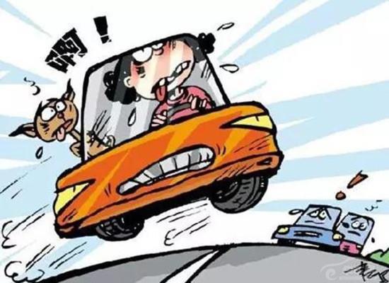 开车这个词是什么意思_“开车”是啥意思_开车意思是什么意思啊