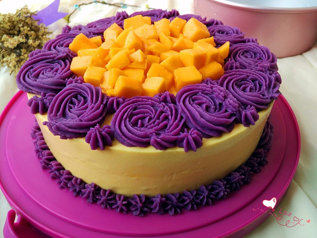 芒果游戏注册流程大揭秘：简单几步，开启无限乐趣之旅