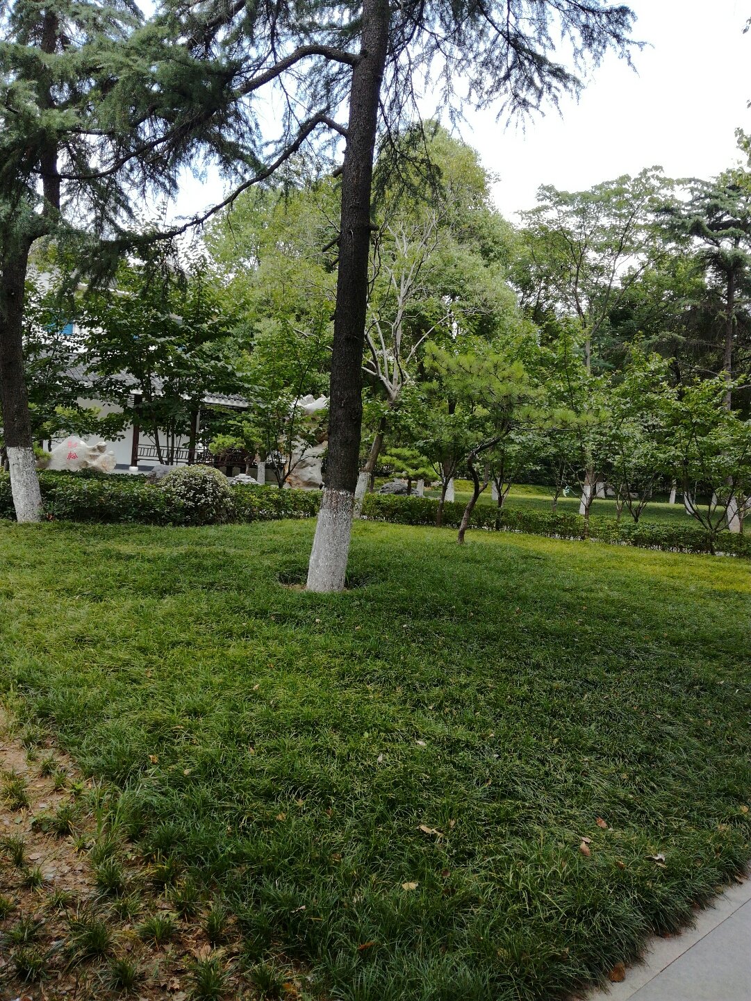 黑米哥哥最近时候照片_精准丹阳最近什么时候有雨_丹阳有没有雨