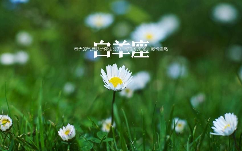 宝贝三年级想说的话_三年级想对宝贝说的话_宝贝我想对你说三年级