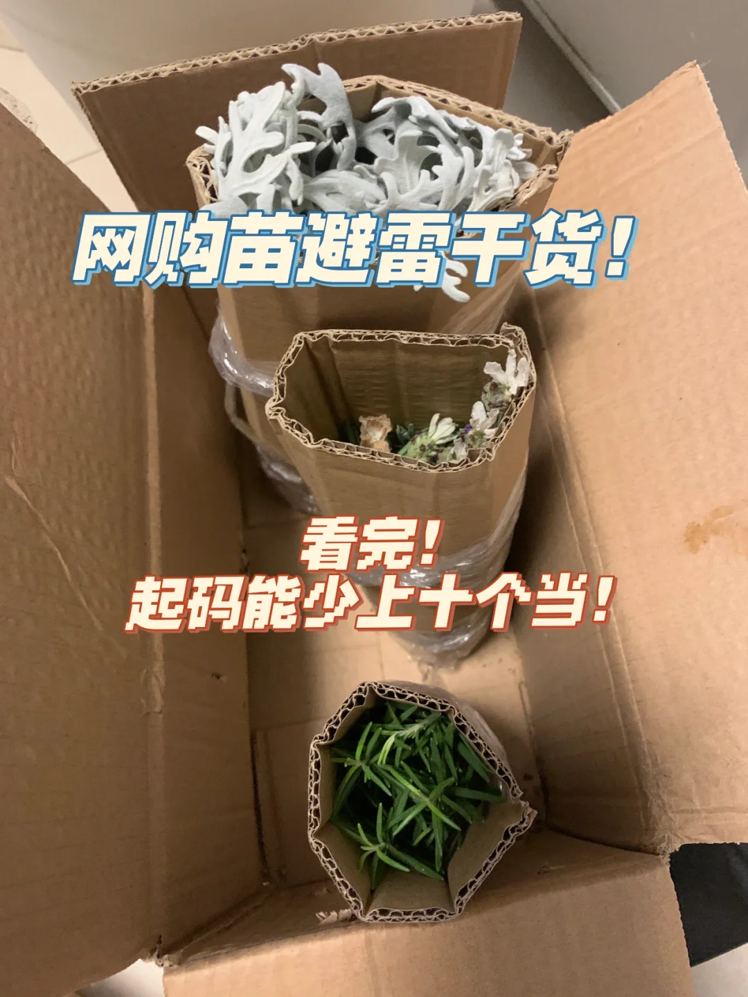 带着网购技能到了异世界-网购达人穿越异世界，开启魔法购物狂潮